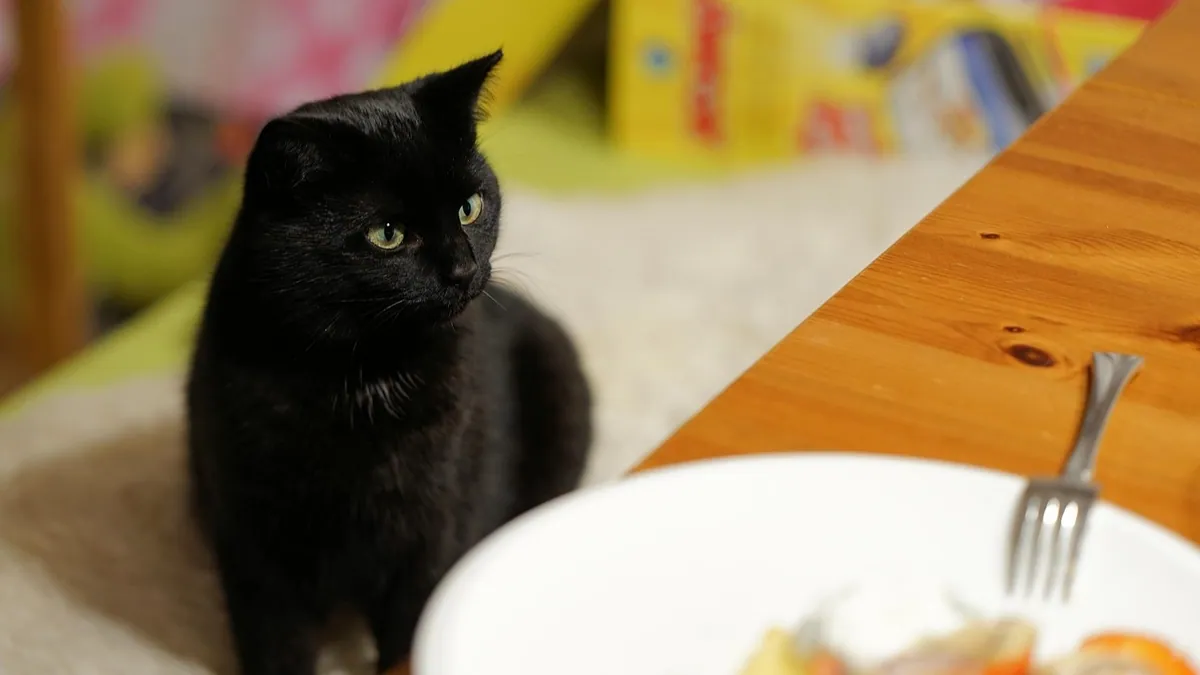 Can Cats Eat Cake? Frosting, Batter, and Chocolate Risks