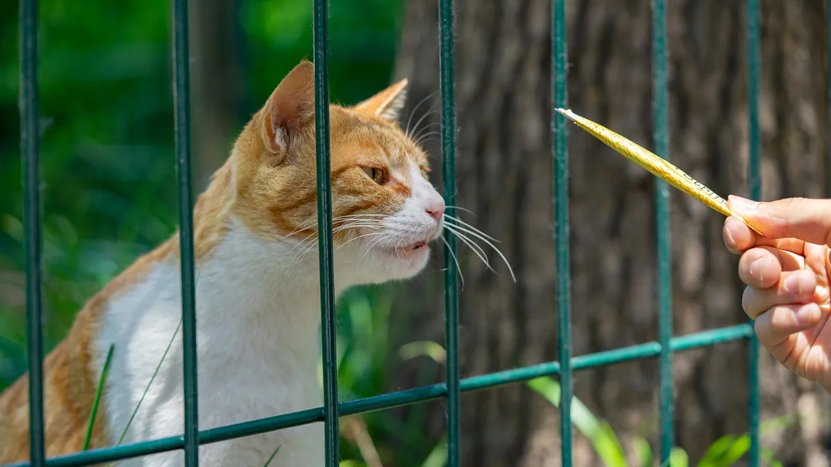 Can Cats Eat Celery? Raw, Cooked, and Leaf Safety