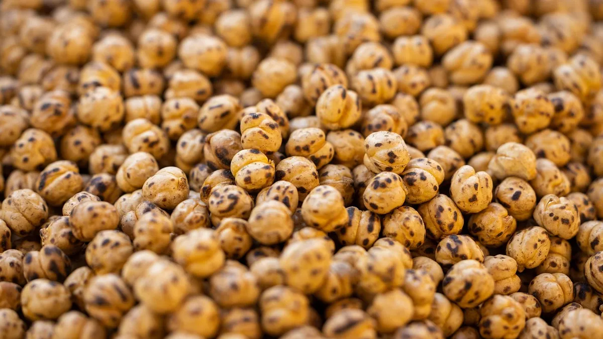 Can Cats Eat Chickpeas? Raw, Cooked, and Canned