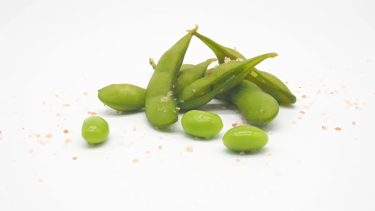 Can Cats Eat Edamame? Pods, Shells, and Salt