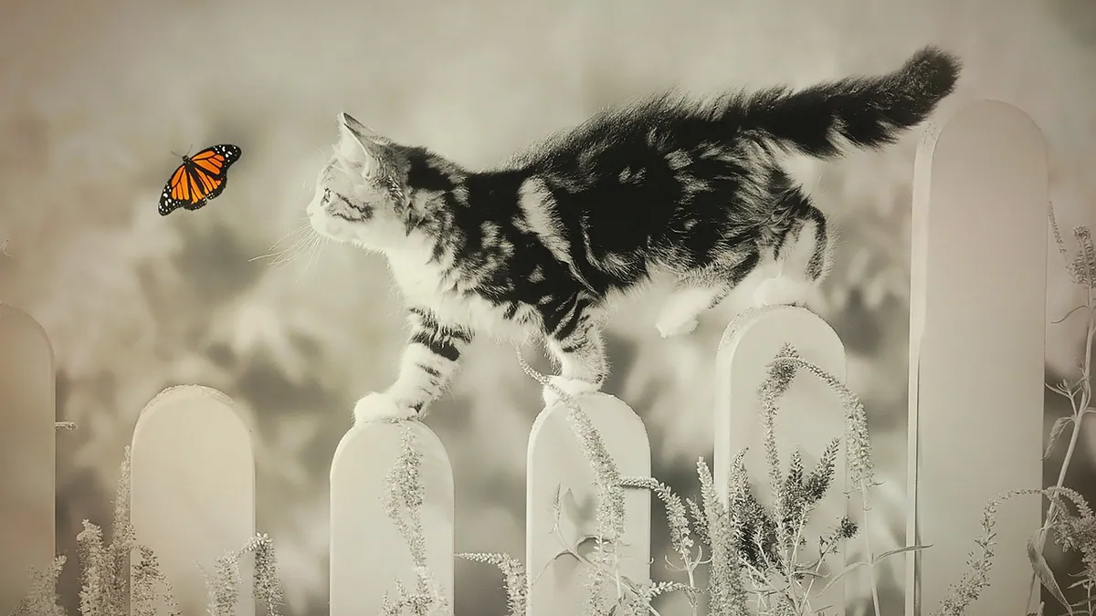 Can Cats Eat Flies? Risks and What to Do