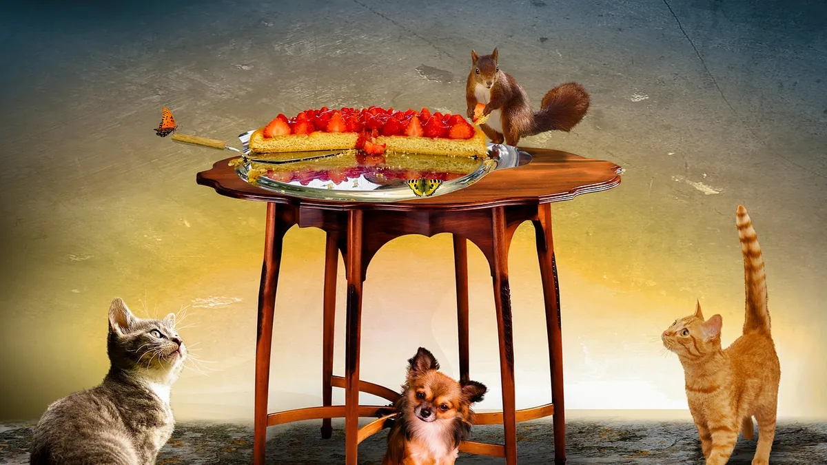Can Cats Eat Jackfruit? Chips, Seeds, and Latex Risk
