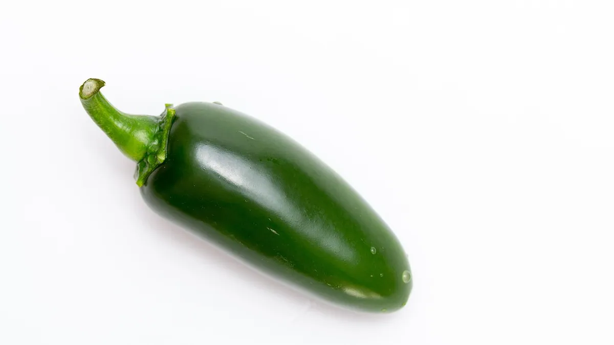 Can Cats Eat Jalapenos? Spice and Allergy Facts