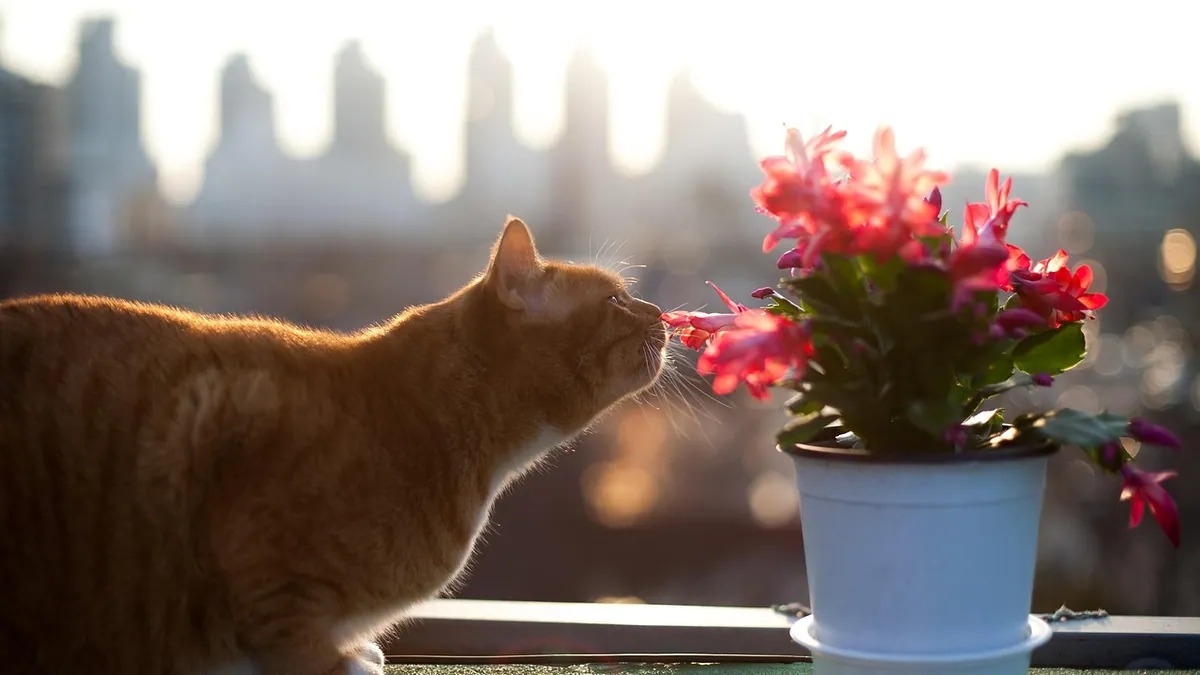 Can Cats Eat Mealworms? Dried, Live, and Freeze-Dried