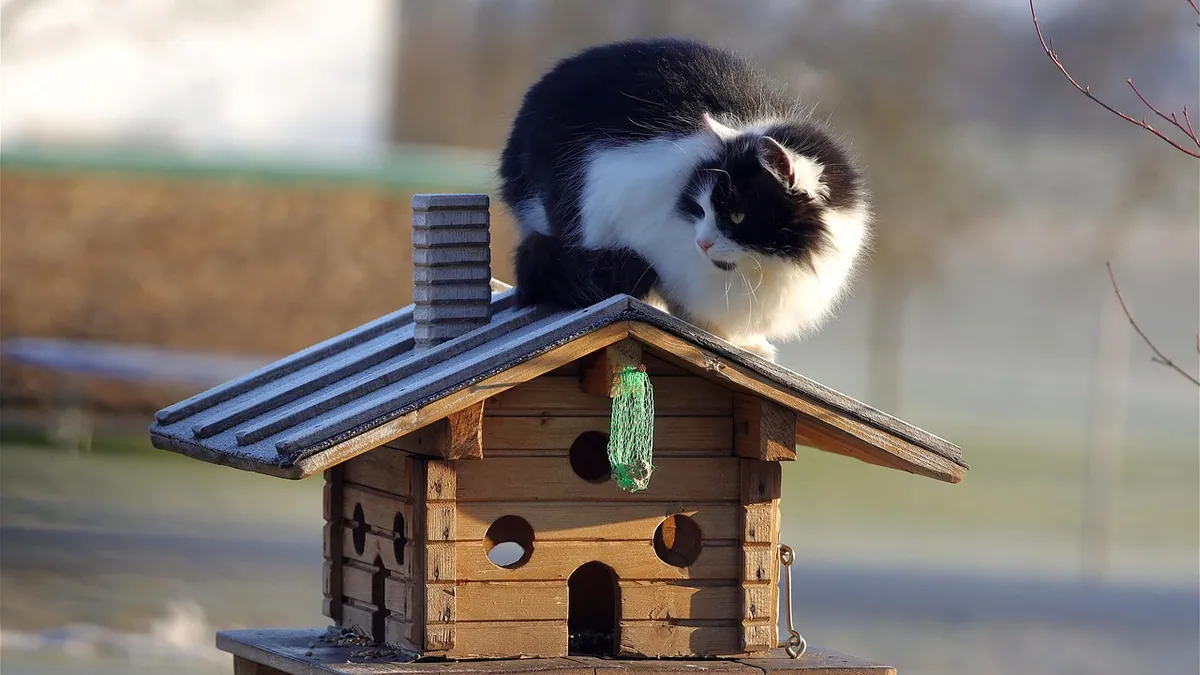 Can Cats Eat Ube? Purple Yam Safety for Cats