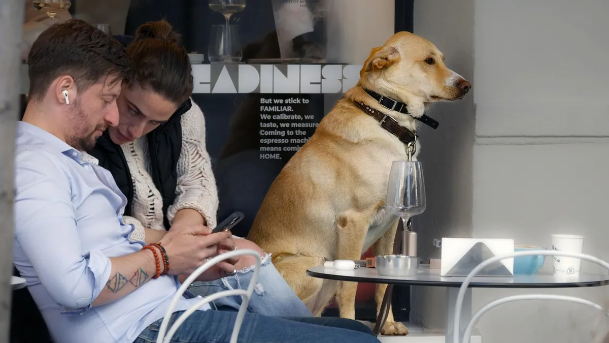 Can Dogs Drink Tea? Caffeine and Tea Bag Dangers