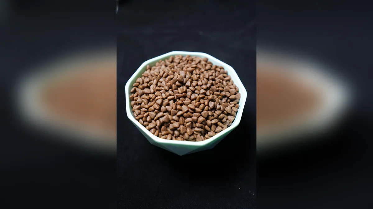 Can Dogs Eat Bird Seed? Risks and Safety