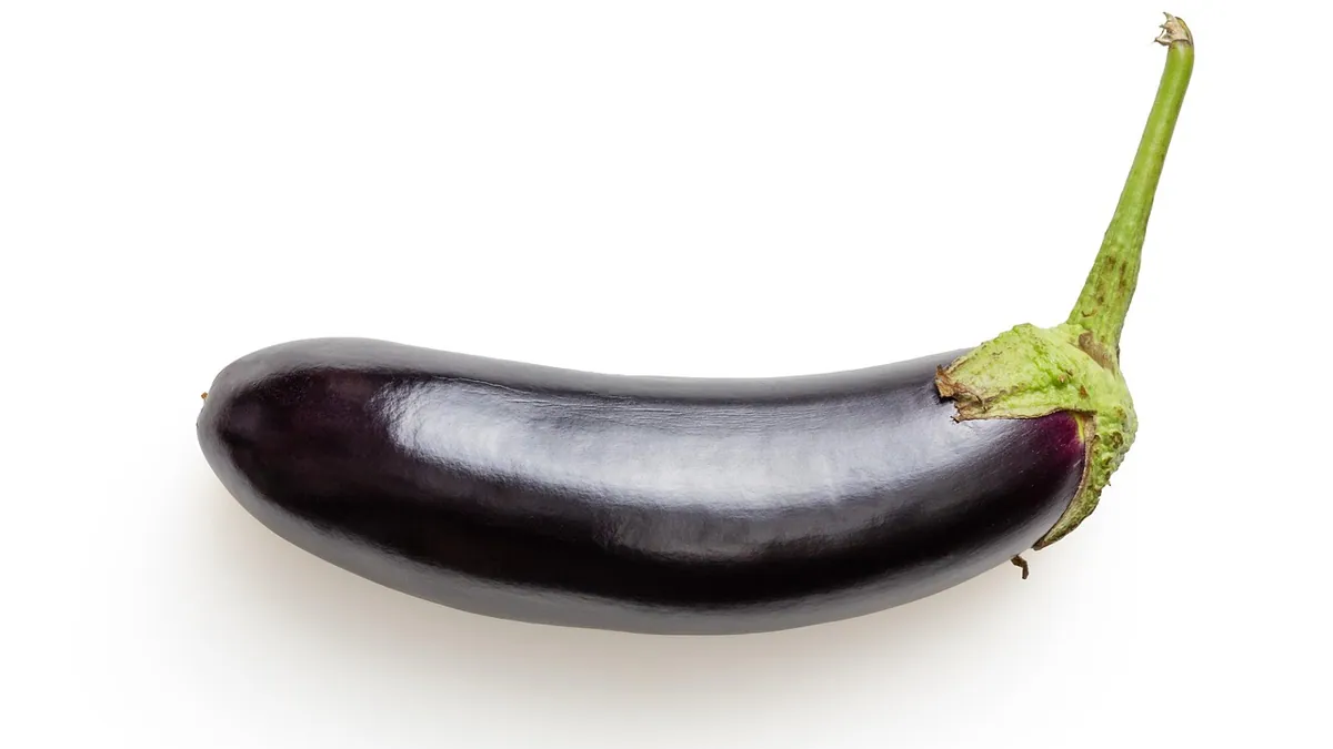 Can Dogs Eat Eggplant? Cooked, Raw, and Skin Safety