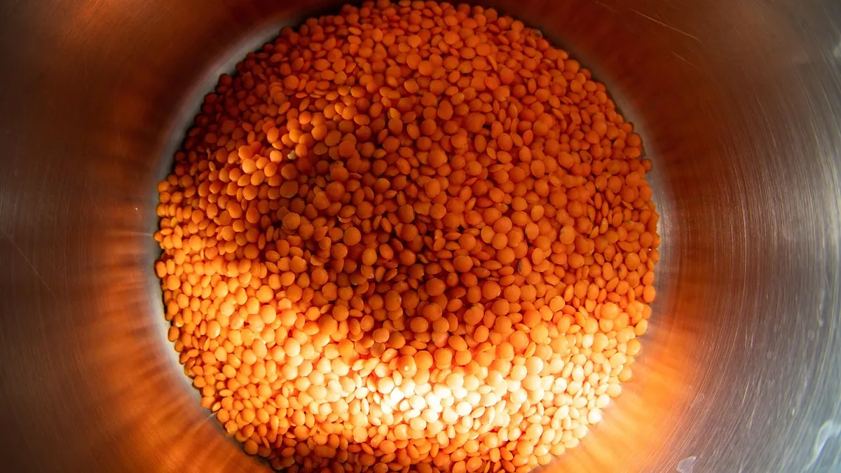 Can Dogs Eat Lentils? Cooked, Raw, and Daily Limits