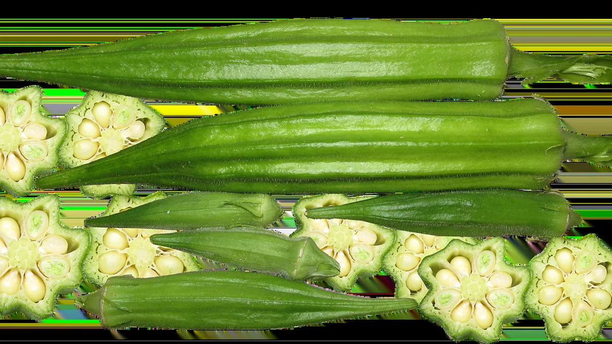 Can Dogs Eat Okra? Raw, Cooked, Fried, and Pickled
