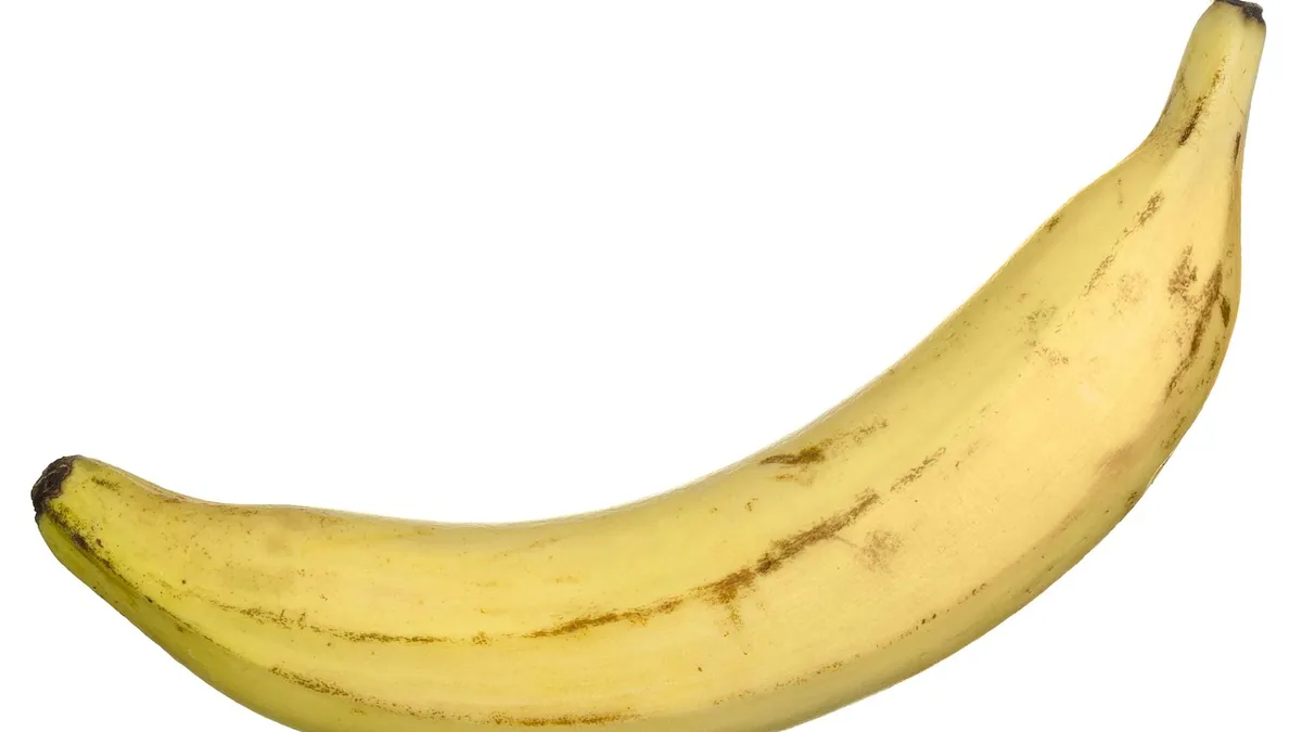 Can Dogs Eat Plantains? Raw, Fried, and Cooked
