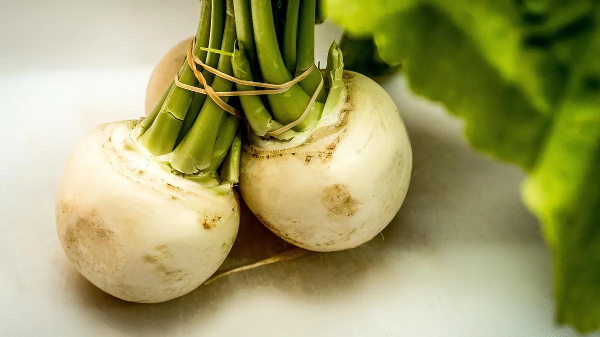 Can Dogs Eat Turnips? Raw, Cooked, and Greens Safety