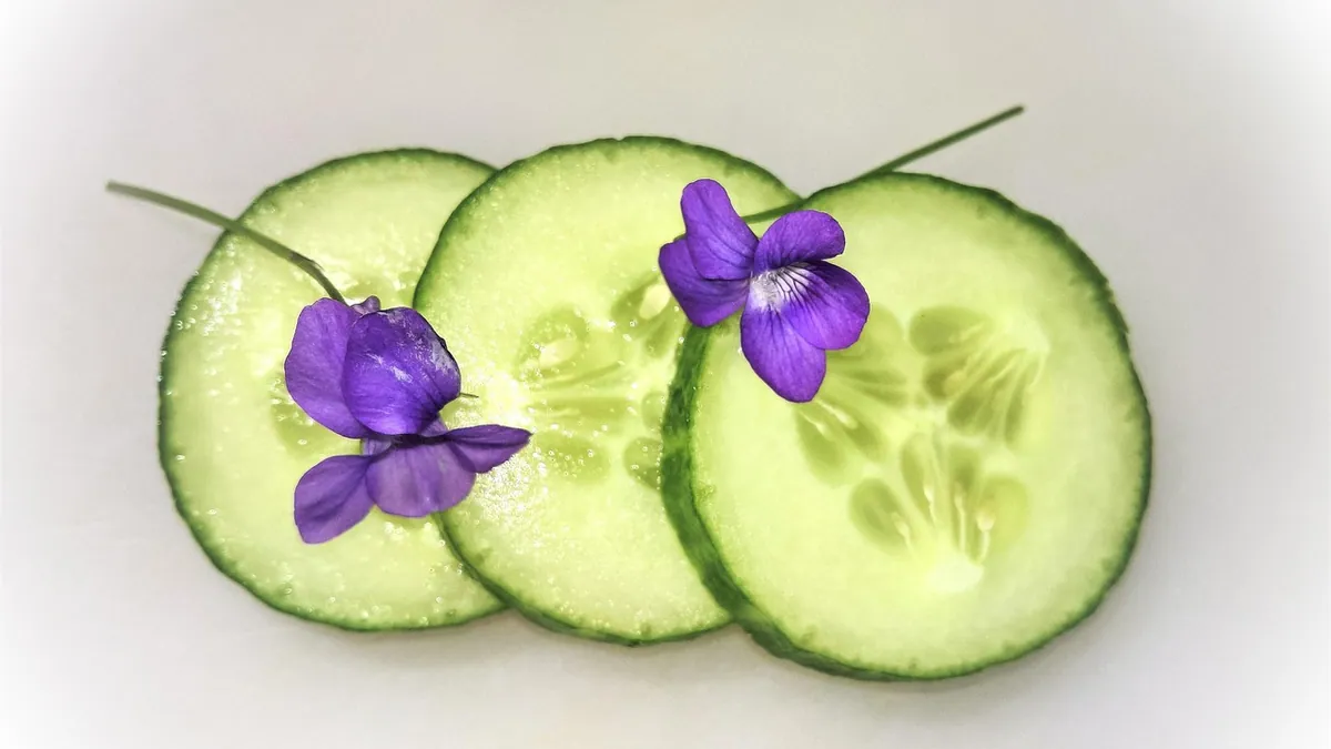 Can Hamsters Eat Cucumbers? Safe Amounts and Risks
