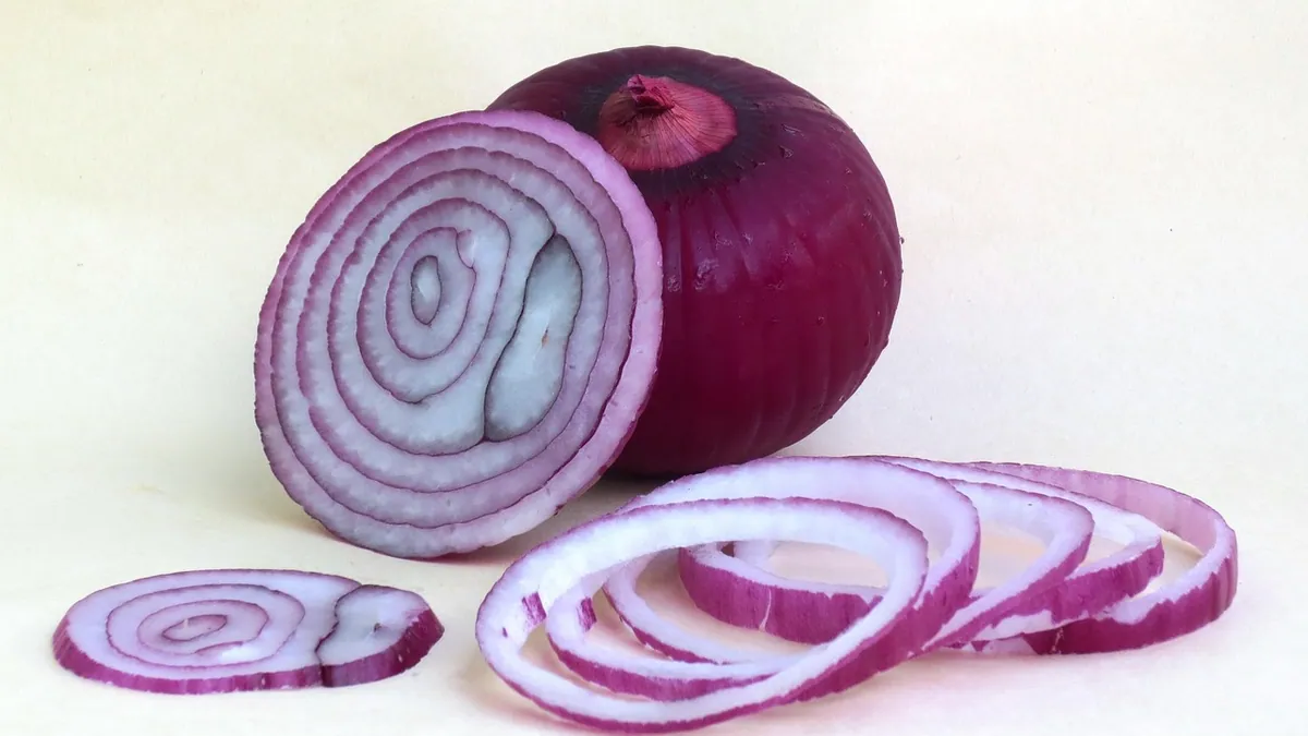 Can Hamsters Eat Onions? Why They Are Toxic