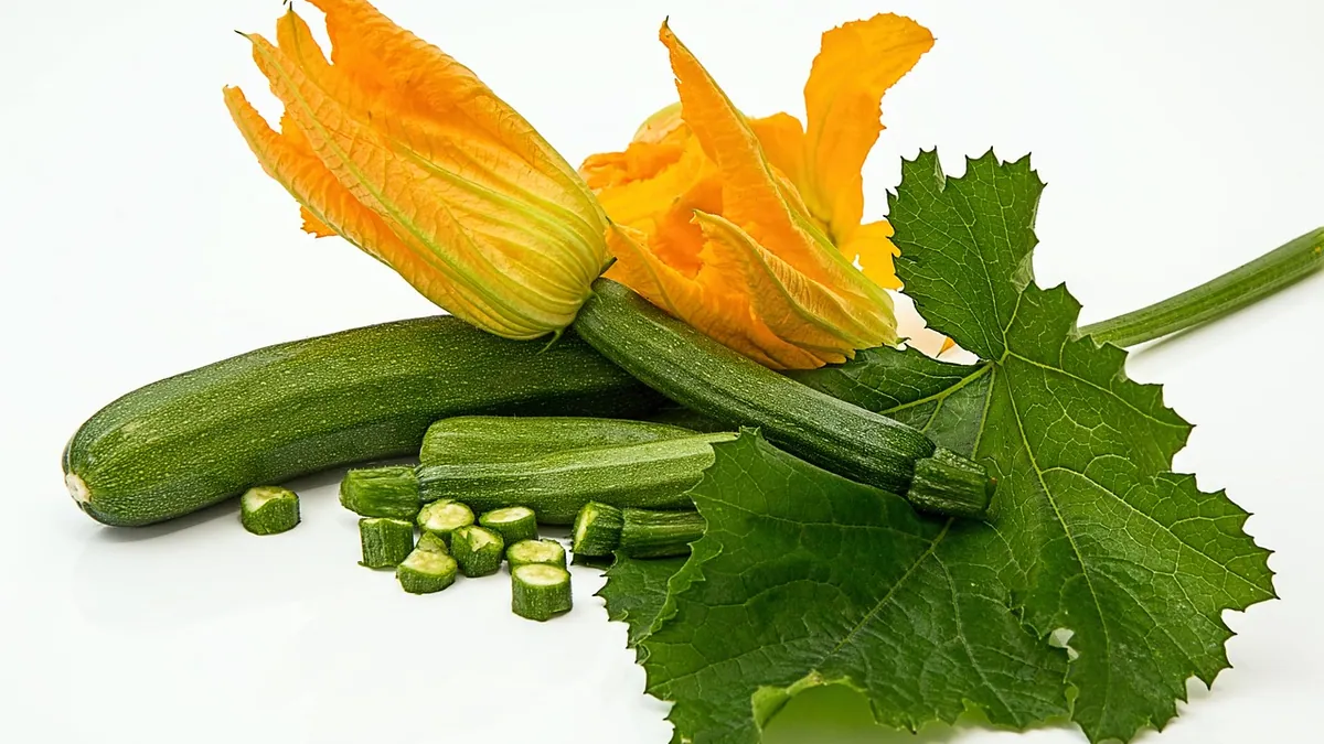Can Hamsters Eat Zucchini? Raw, Cooked, and Skin