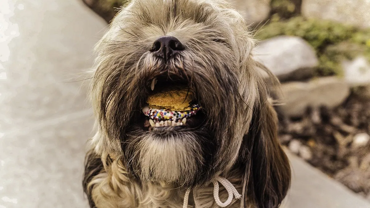 Can Puppies Eat Hot Dogs? Risks and Safe Limits