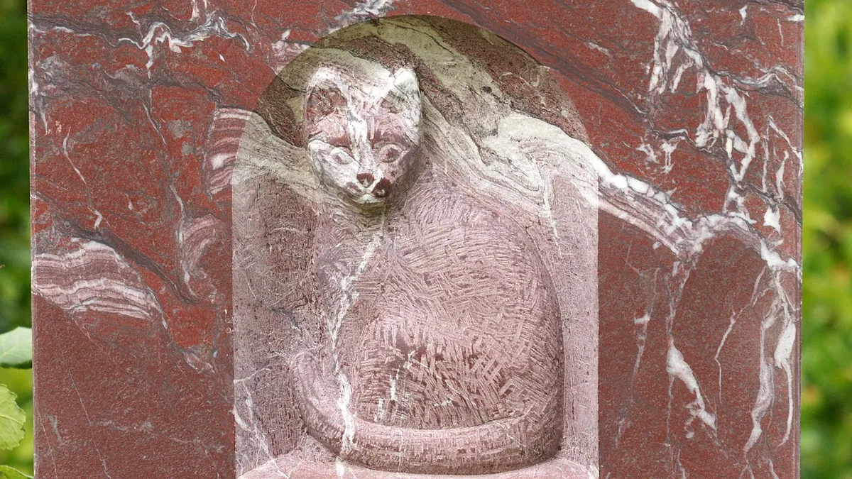 Cat Cremation Services: Process, Urns, and What to Ask