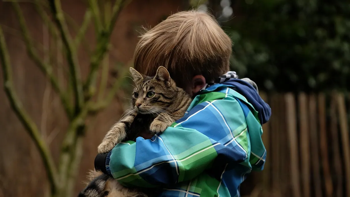 Why Does My Cat Keep Headbutting Me? Bunting Explained
