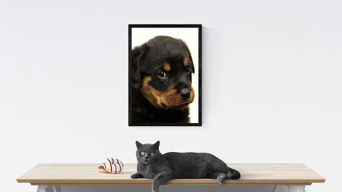 Is Dieffenbachia Toxic to Dogs and Cats?