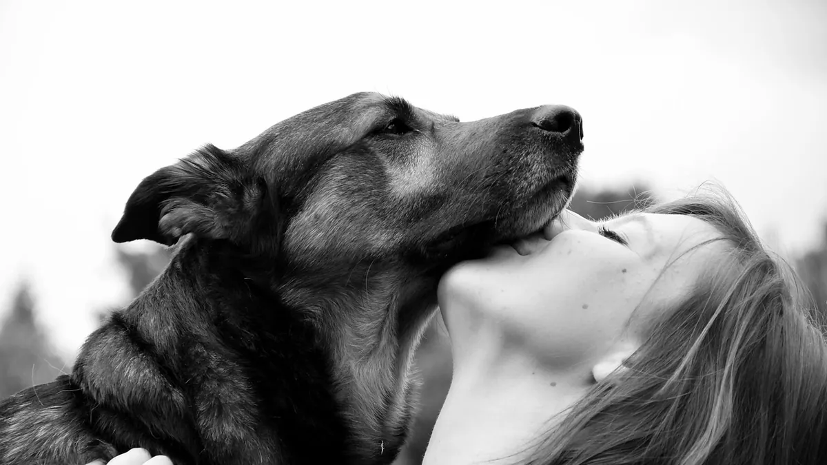 Do Dogs Understand Kisses? How Dogs Read Human Affection