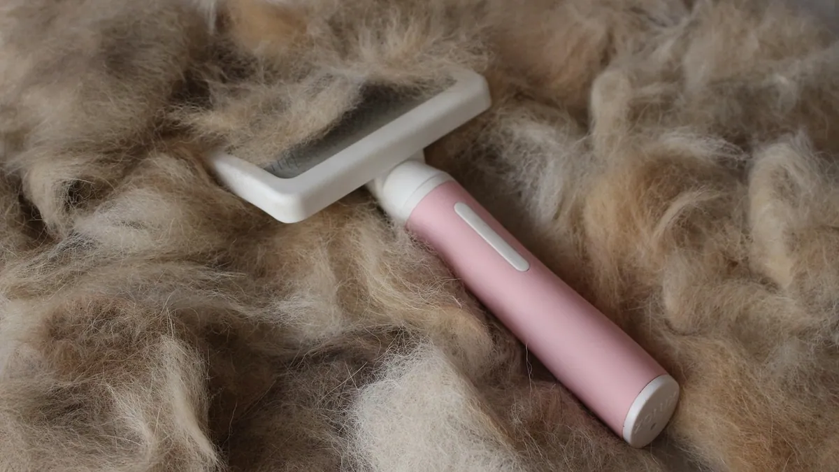 Do Puppies Shed? Puppy Coat Changes and Shedding