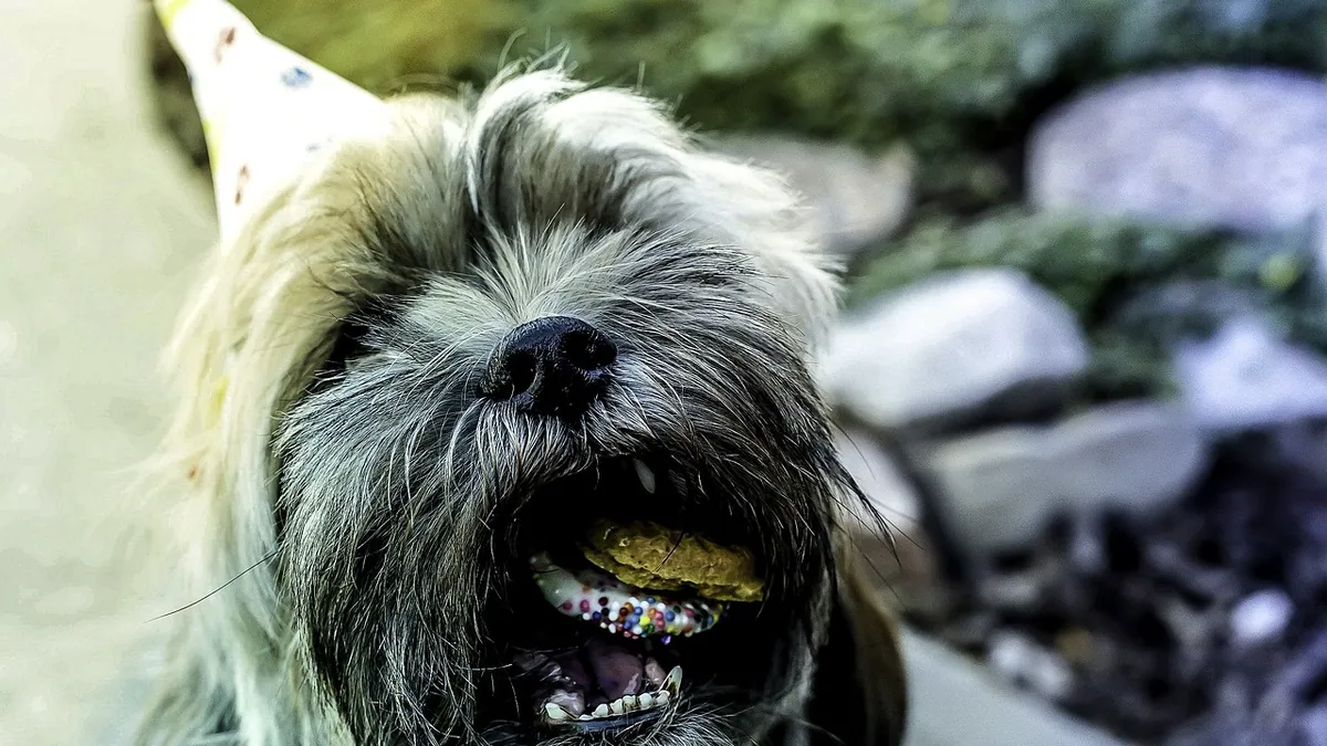 Dog Allergic to Milk-Bone Treats or Milk? What to Know