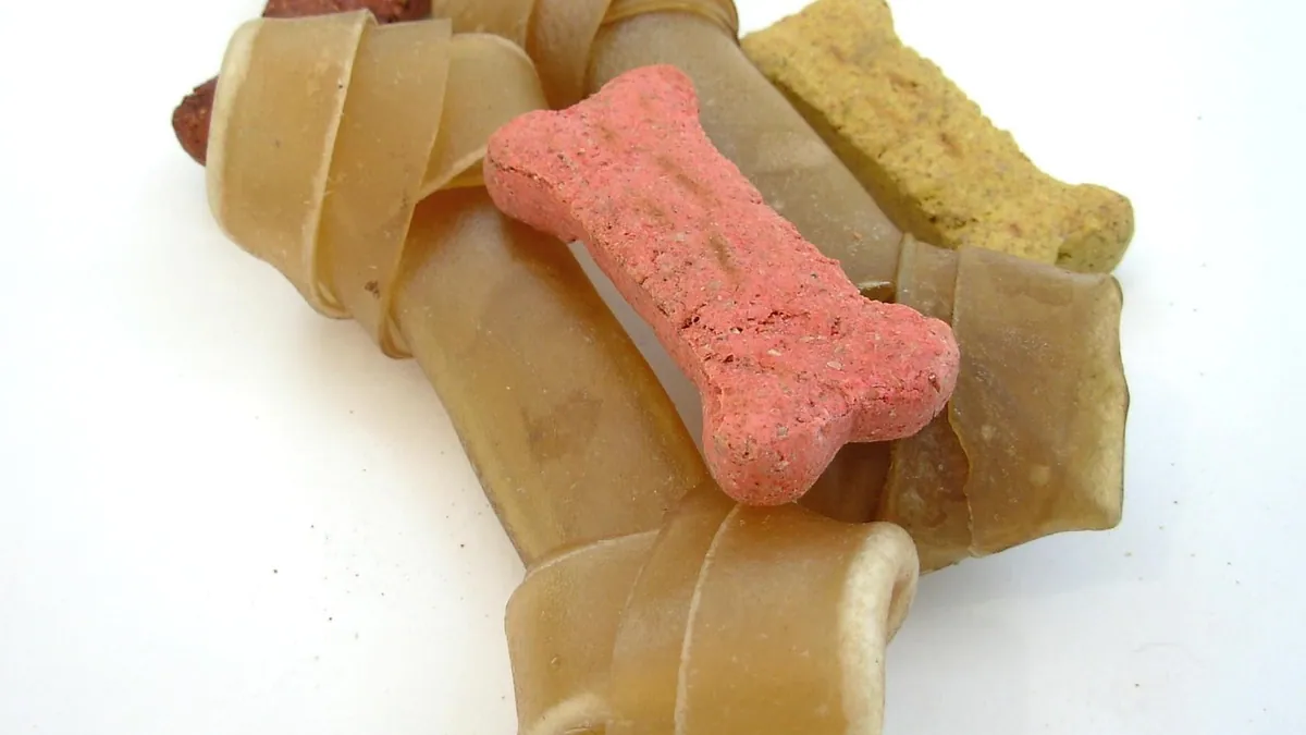 Dog Allergic to Rawhide? Signs and Safer Chews