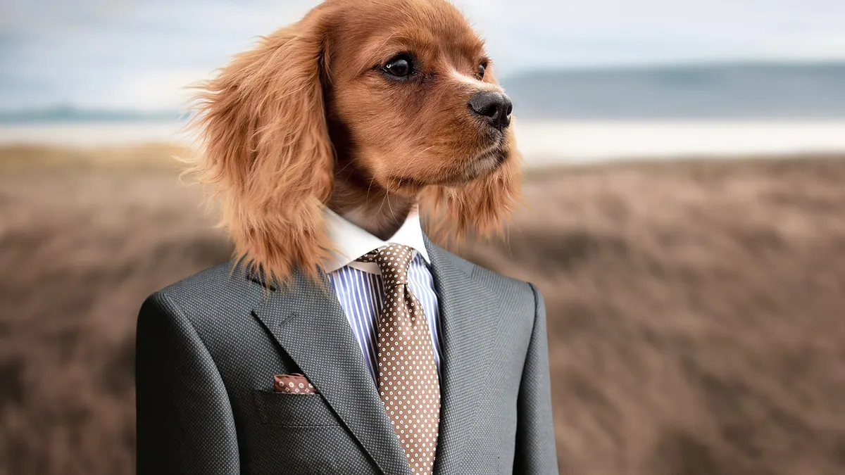 Dog Spay and Neuter Recovery Suits: Do They Work?
