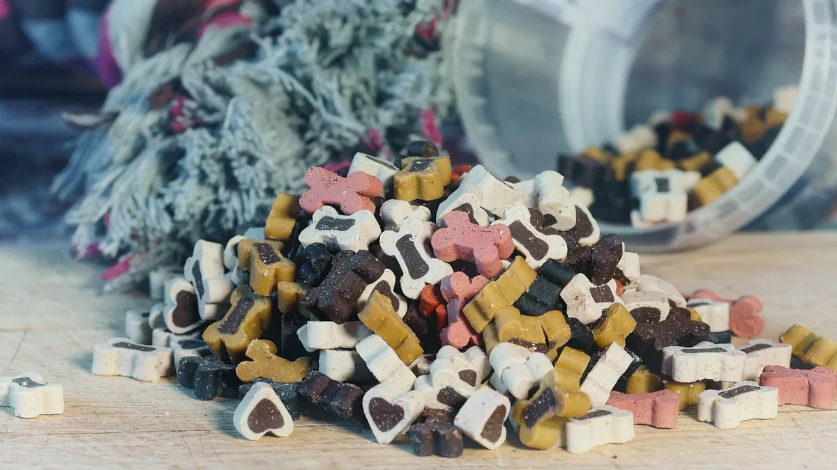 Dog Throwing Up Undigested Kibble: Why and What to Do