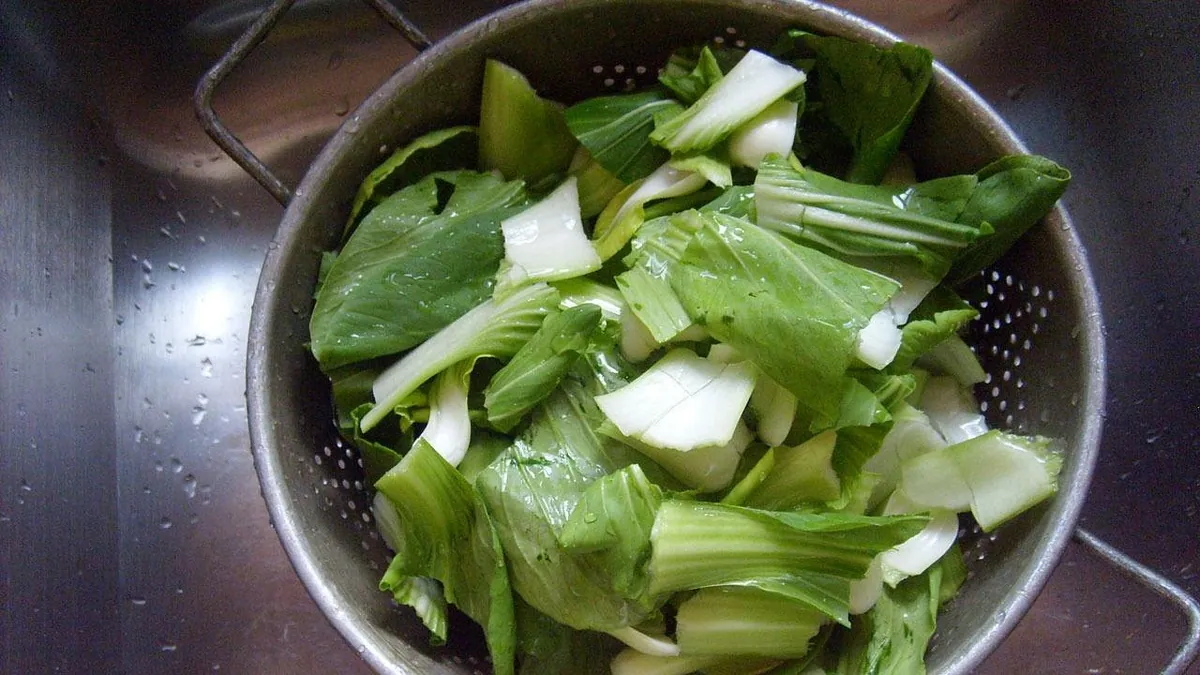 Can Dogs Eat Bok Choy? Raw, Cooked, and Daily Limits