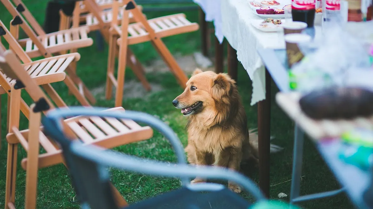 Is Ethyl Alcohol Toxic to Dogs? Risks Explained