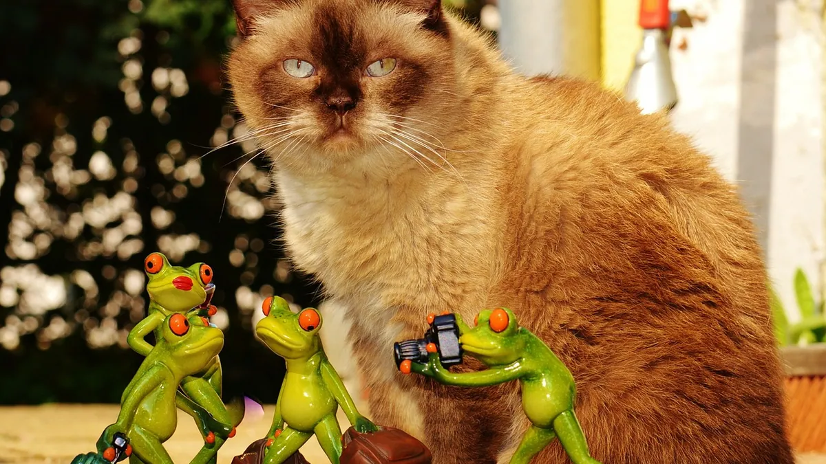 Are Frogs and Toads Toxic to Cats? What to Do