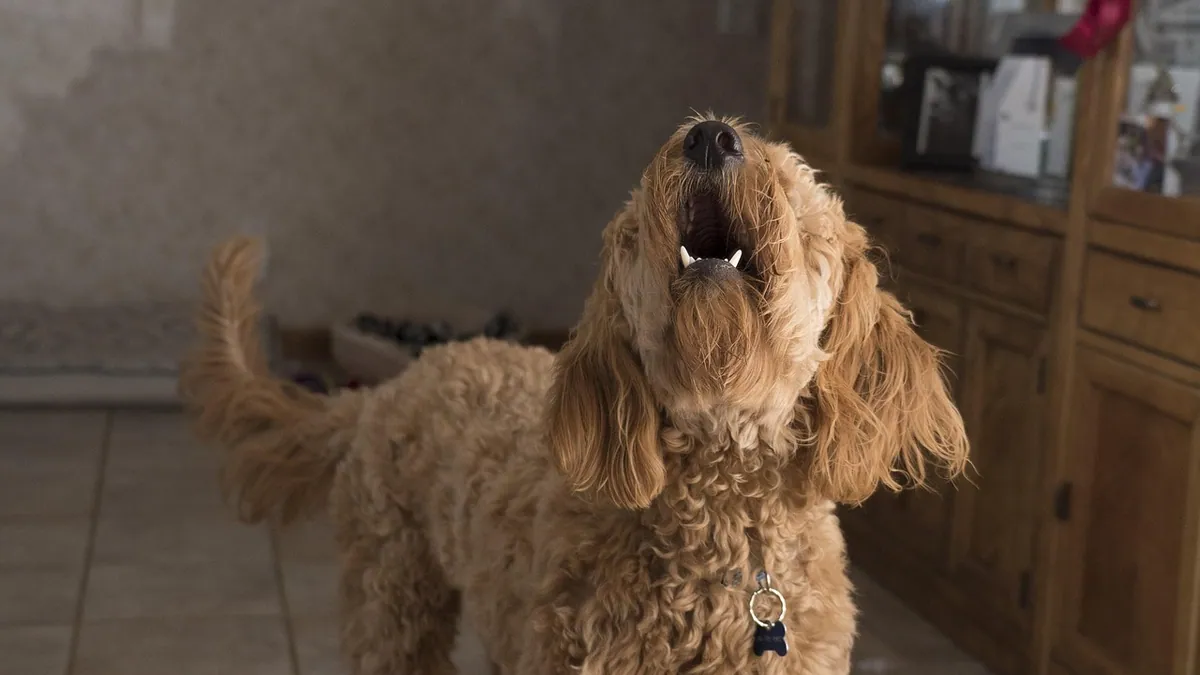 Guaifenesin for Dogs: Uses, Dosing, and Safety Concerns