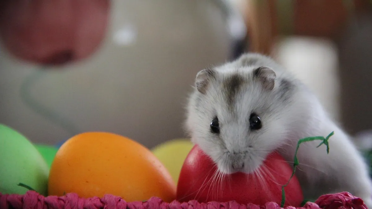 Why Is My Hamster Shaking? Causes and When to Worry