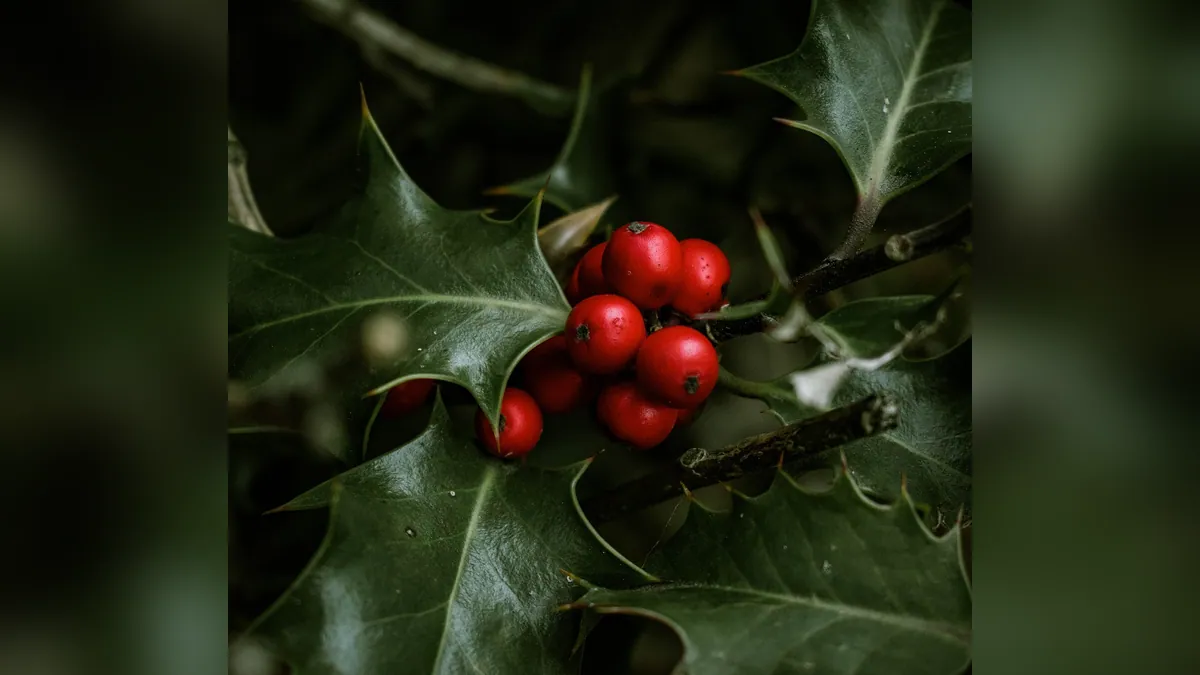 Is Holly Toxic to Cats? Berries, Leaves, and Signs