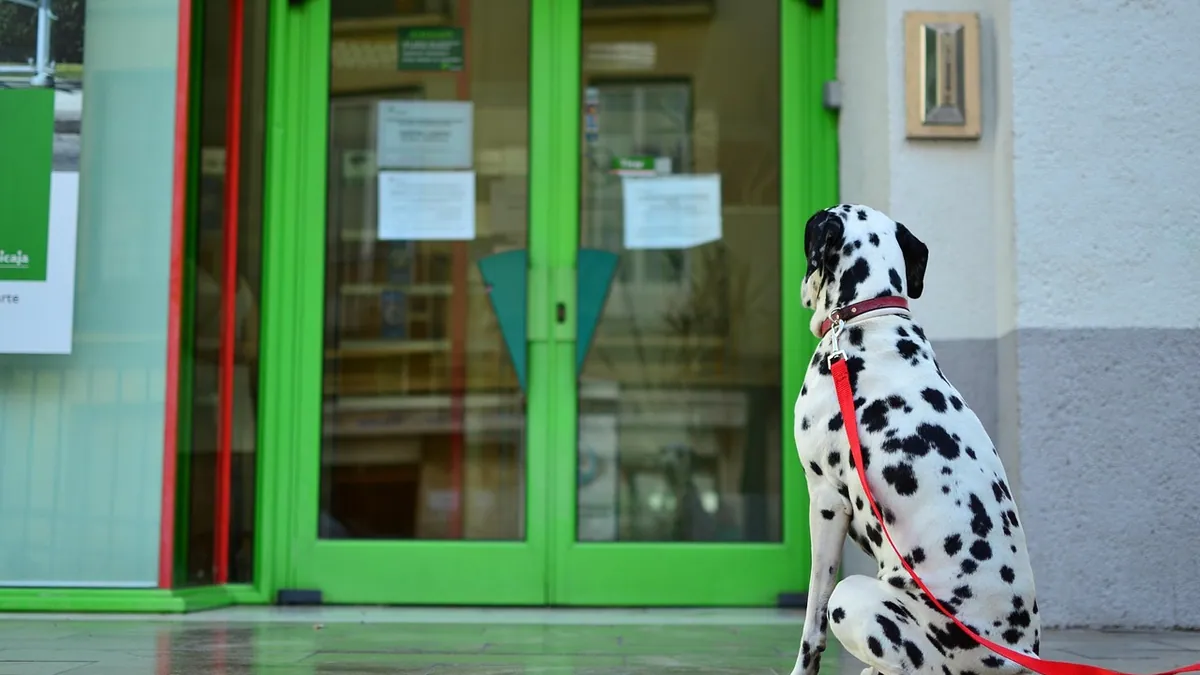 How to Tell If Your Dog Needs to Pee: 7 Signs to Watch