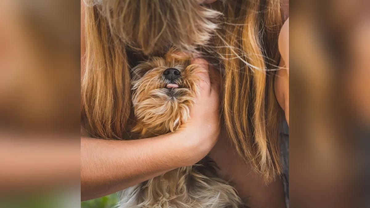 Is It Safe for Dogs to Lick Your Face?