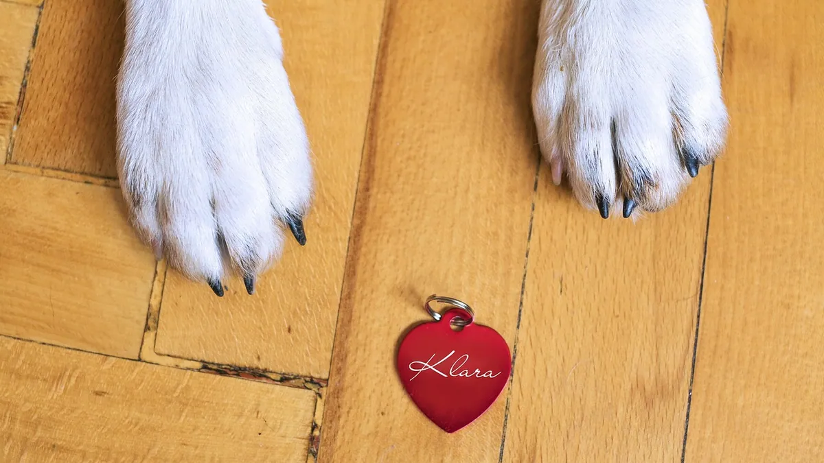 How Much Onion or Garlic Powder Is Toxic to Dogs?