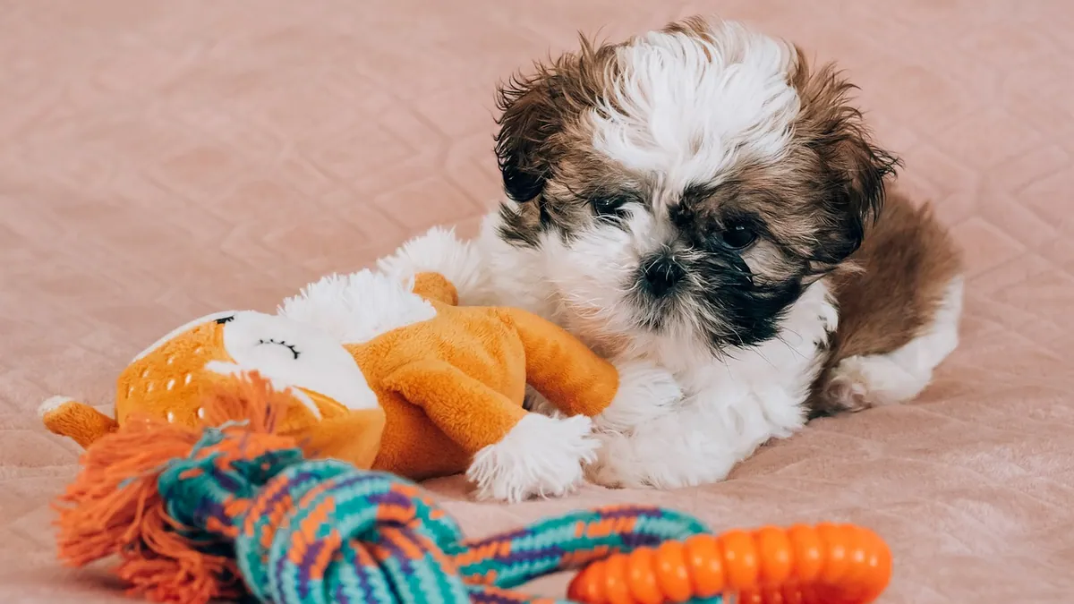 Why Does My Puppy Growl When Playing? Normal or Not