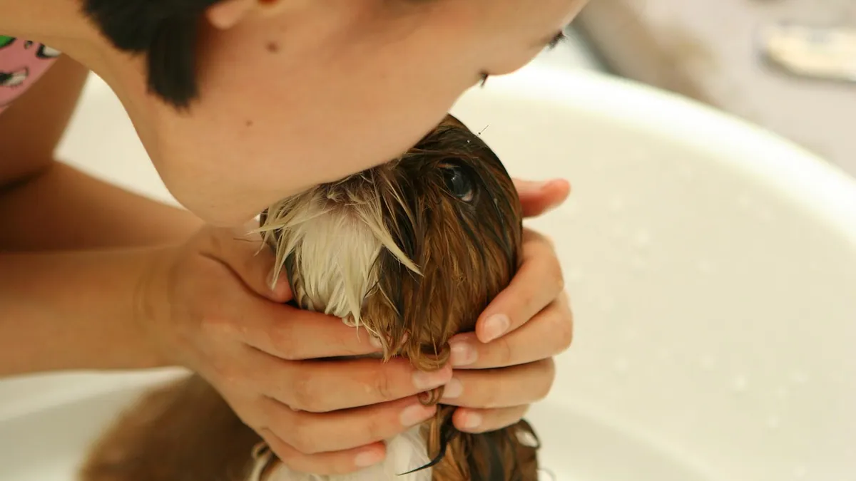 Why Does My Puppy Smell Bad? Common Causes and Fixes