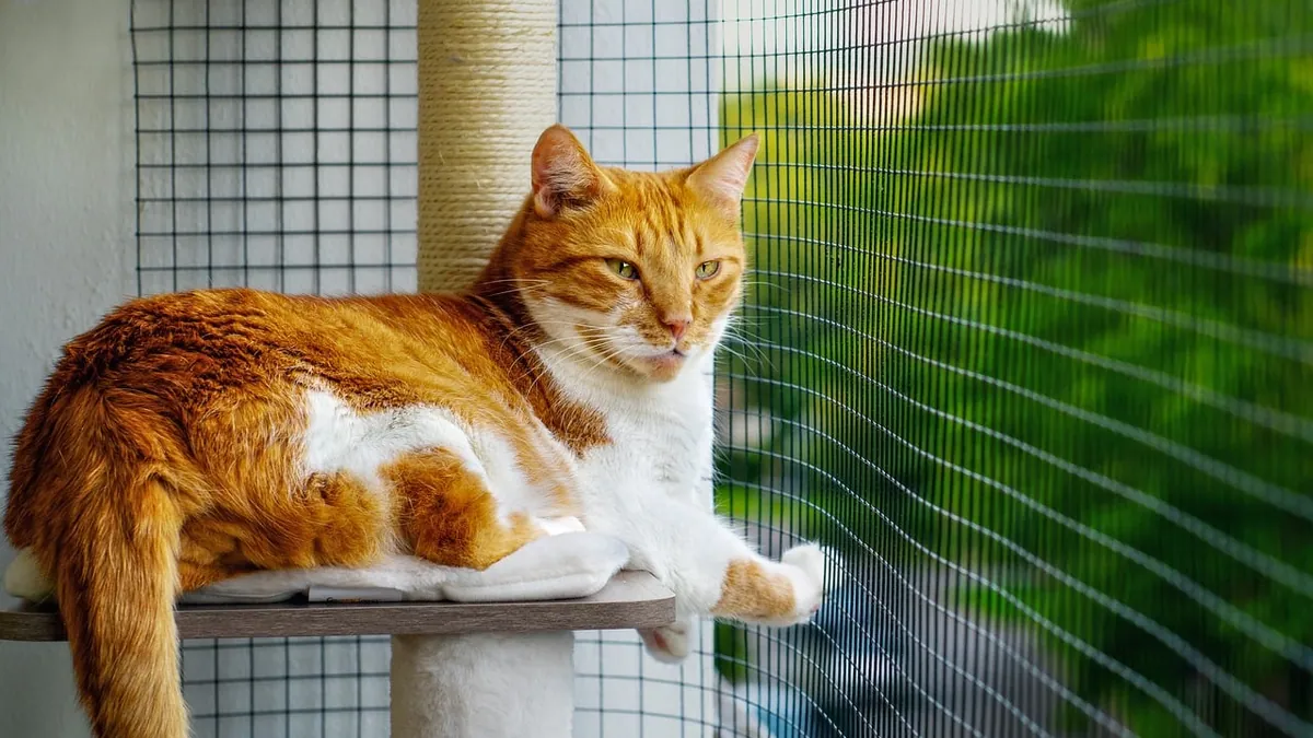 Is QuickStrike Safe for Cats? Flea Product Risks