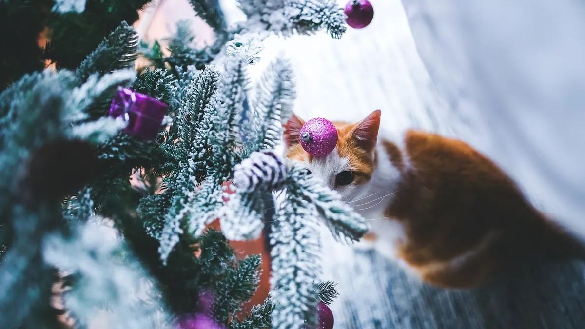 Is Salt Dough Toxic to Cats?