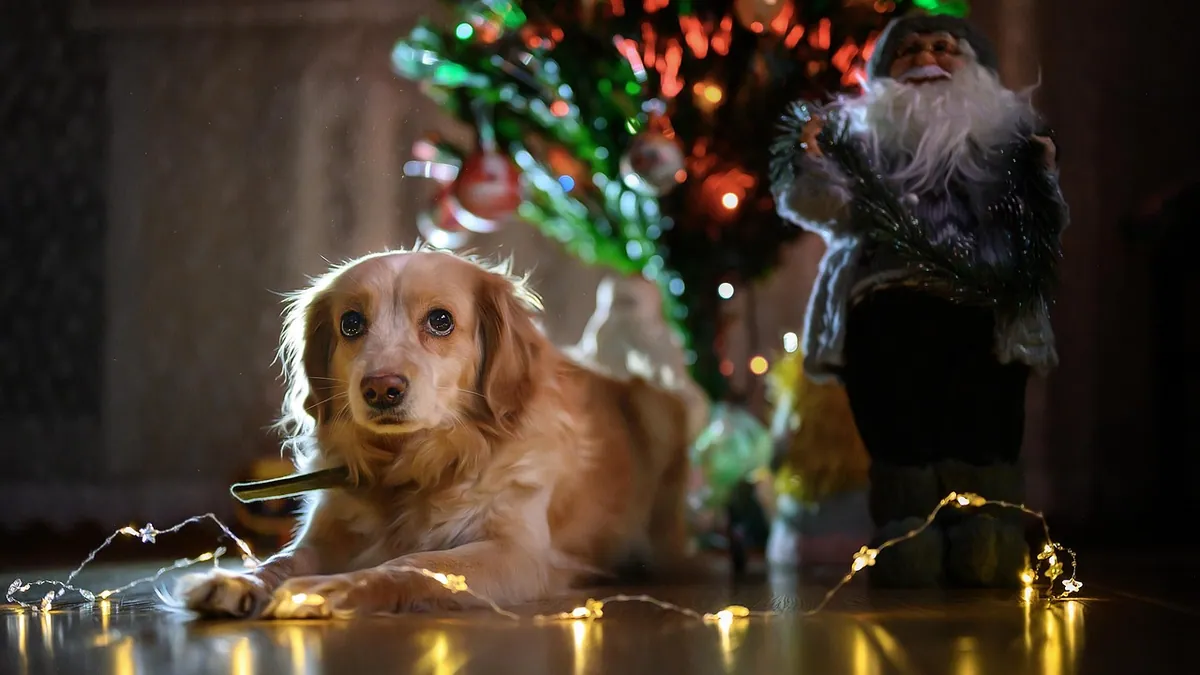 Is Salt Dough Toxic to Dogs?