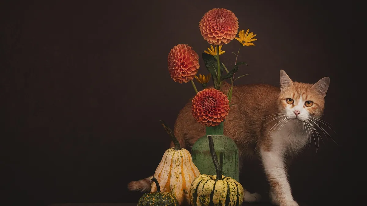 Are Tiger Lilies Poisonous to Cats?