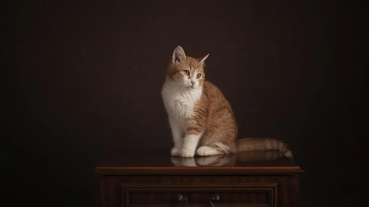 Is Tobacco Toxic to Cats? Nicotine Poisoning Signs