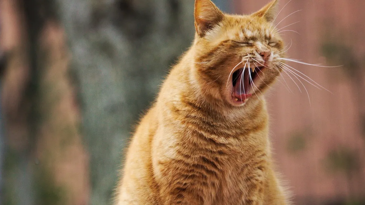 Ursodiol for Cats: Dosage, Side Effects, and Vomiting