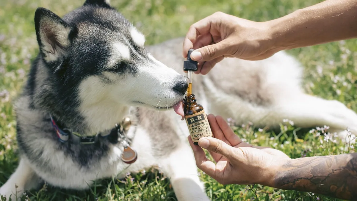 Is Vape Juice Toxic to Dogs? Nicotine Poisoning Signs