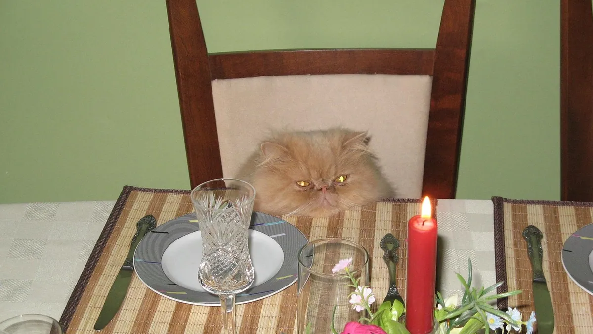 Are Wax Melts Toxic to Cats? Safety and Symptoms