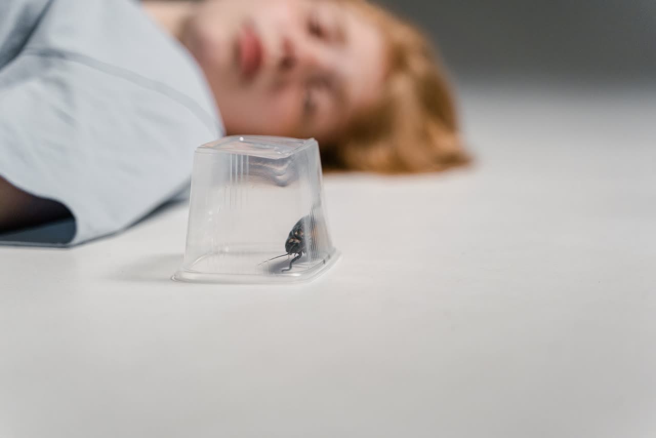 Beetle and Roach Pet Care: Enclosure, Diet, and Health