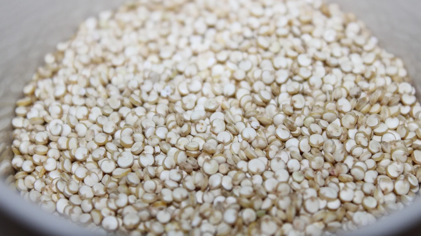 Can Dogs Eat Quinoa? Safe Serving Guide